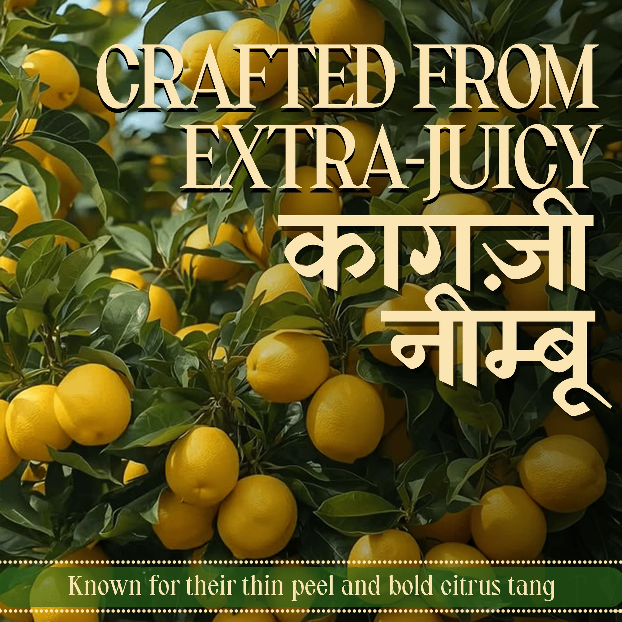 Sweet Lemon Pickle - Natural Sun Dried - Image 8