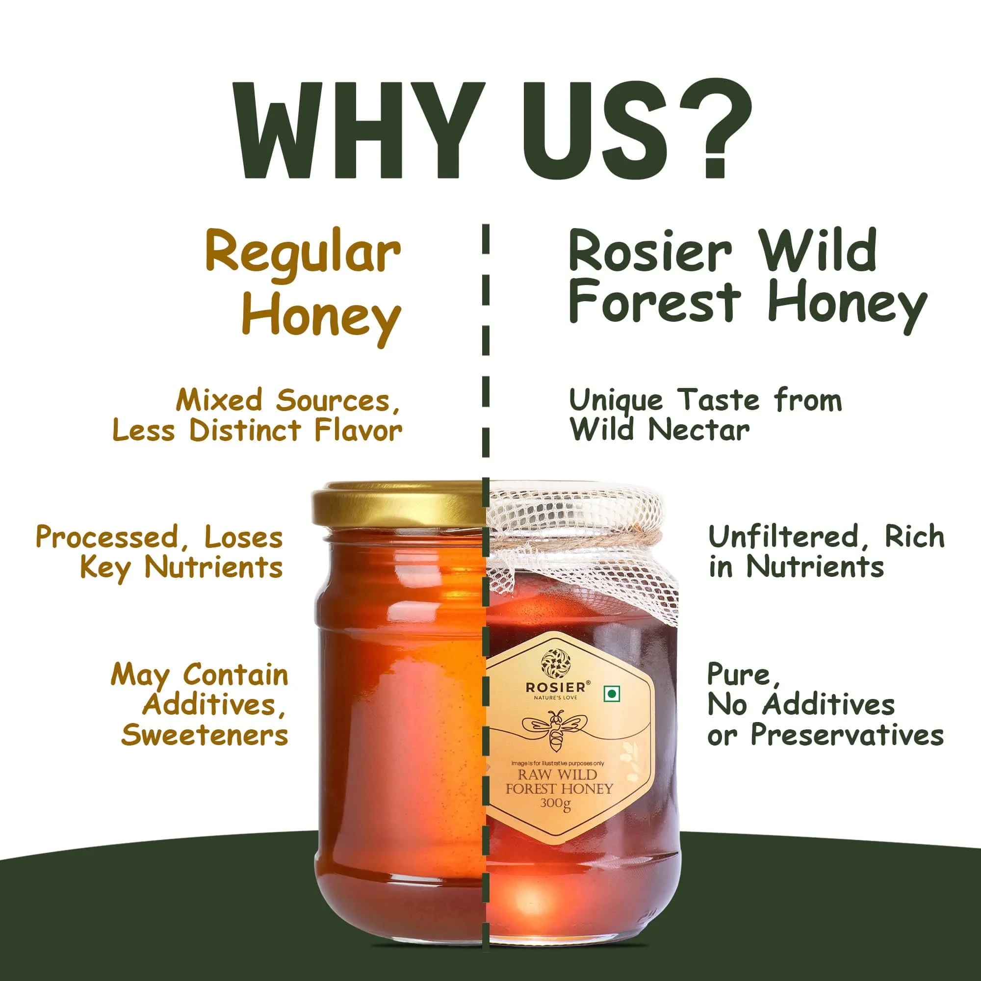 Wild Forest Honey - Image 3